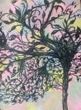 by Christine Selmon