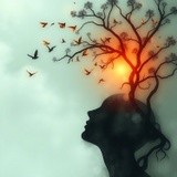 by Mihaela B