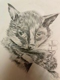 by Ariella Belau