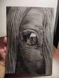 by Olena Mashnina