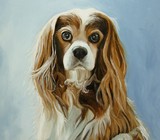 by Ria Hills