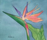 by Nancy Woolweber