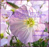 by Nira Dabush