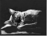 by Anne Kelty