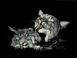 by Anne Kelty