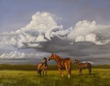 by Amanda Cowan