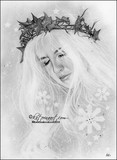 by Katerina Koukiotis