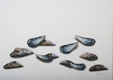by Thomai Kontou