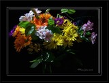 by DEE JOBES PHOTOGRAPHY