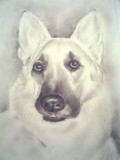 by JANIE THOMPSON-LIDE