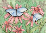 by Rhonda Shereck