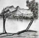 by Homayra Amirzada