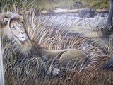 by Chante' Hall