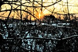by Abst Summs