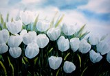 by Nelly van Nieuwenhuijzen