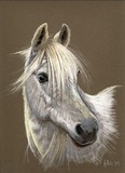by Jennifer Redstreake
