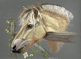 by Jennifer Redstreake
