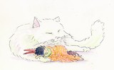by Kirsten Talmage