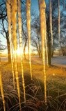 by VELYKIO - gintautas velykis -