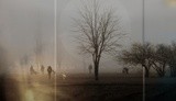 by Nikolay Semyonov