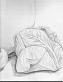 by Beth Sheehan