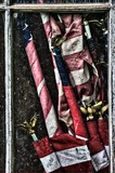 by Jim Crotty