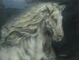by Shawn Garrison