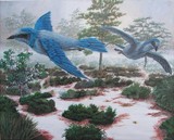 by David Foote
