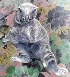 by Judith Horn