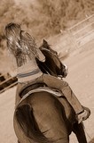 by marsha seipel