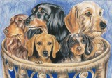 by Barbara Keith
