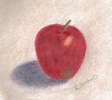 by Rebecca Humphries