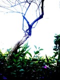 by zain khan