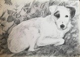 by Grace Engel