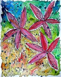 by Christine B. Ghattas