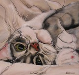 by Erlinde Ufkes Stephanus