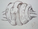 by Ximena Torres