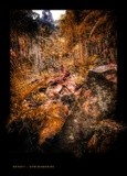 by Ropati Leaso-Cobb