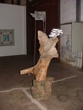 by Rosa Groisman