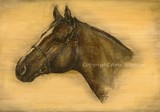by Amy Scanlon