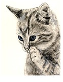 by Paula  Bodger