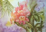 by Bobbin Salisbury