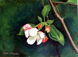 by Karen McQuillan
