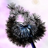 by Sharon Simmons