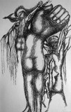 by shomi banerjee