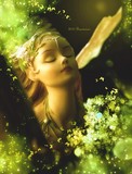 by Embrision Arts