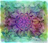 by Stefani Wehner