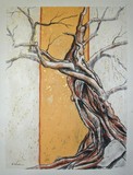 by Carla Whelan