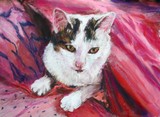 by Joan  Wulff