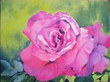 by Elena Mehl